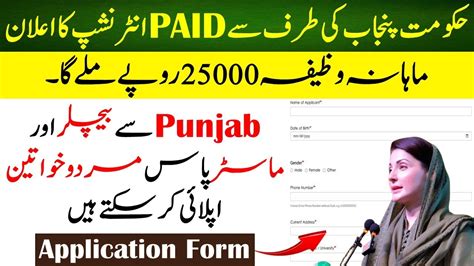 CM Punjab Paid Internship 2024 How To Online Apply For Smog