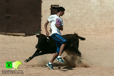 X Toros Capea En La Finca La Morera