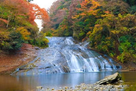 秋の岐阜県を旅行するならここがおすすめ！ 観光スポット5選 格安航空券モールコラム