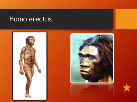 Proceso De Hominizaci N Ppt Descarga Gratuita