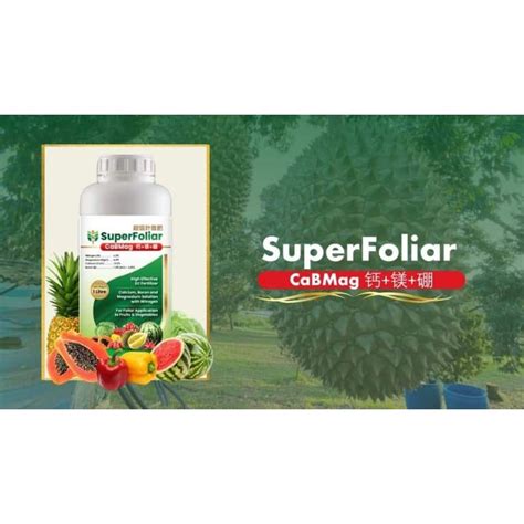 1L CaBMag Baja Foliar Durian Cili Buah Buahan Calcium Boron Magnesium