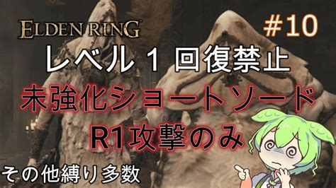 【エルデンリング】”最弱！？”レベル1・未強化で王になる Part10~神肌のふたり~【ずんだもん実況】【elden Ring】 Youtube