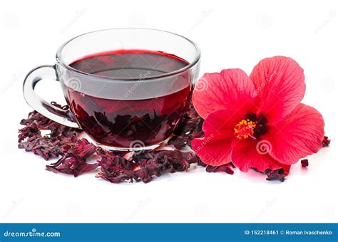 Hibiscus Tea Flower And Dry Blossom Stock Image Image Of Bissap