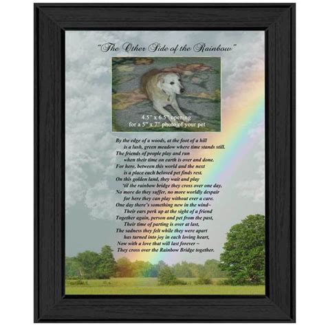 Rainbow Bridge (Pet Print)' Framed Art - Overstock Shopping - The Best ...