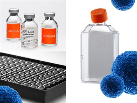 D Cell Culture Solutions To Make Your Workflow Easier Omnilab