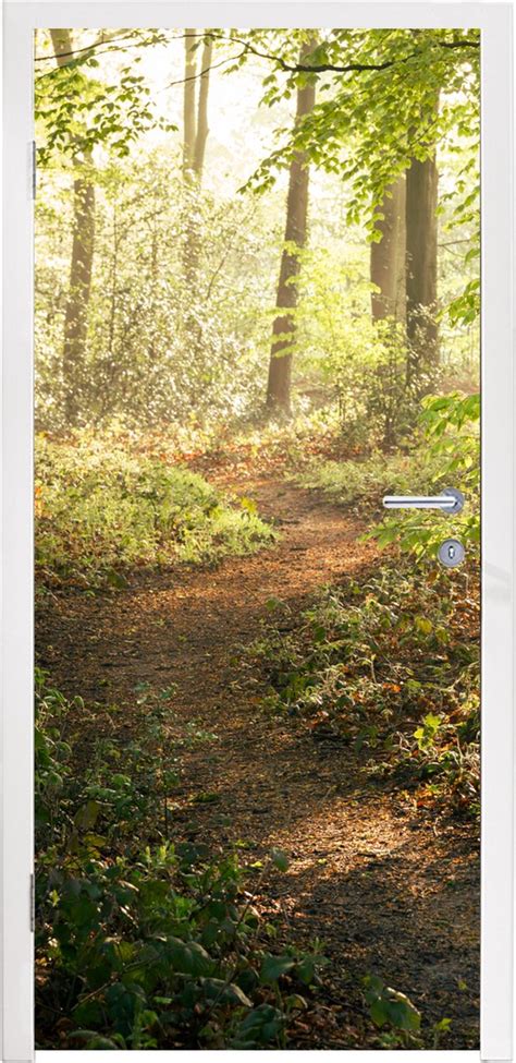 Deursticker Bos Bomen Pad Zon Planten Bladeren Natuur