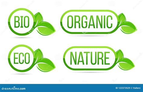 Organic Natural Bio Eco Vector Labels Eco Bio Organic Nature Green Fresh Leaves Elements