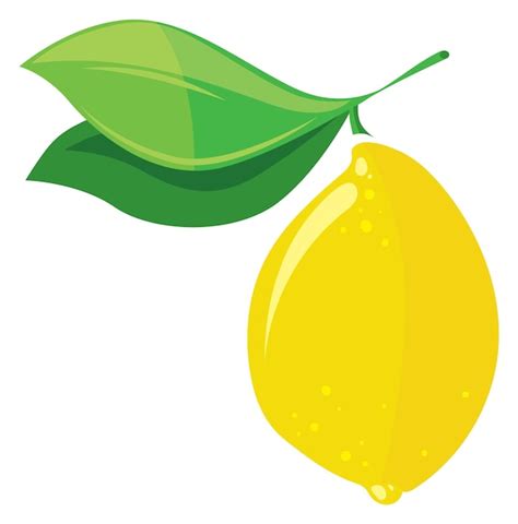 Citron Poussant Sur Une Branche Fruit De Dessin Animé Suspendu à Un