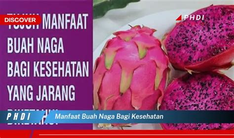 Ketahui Manfaat Buah Naga 7 Manfaat Tersembunyi Yang Bikin Kamu Penasaran