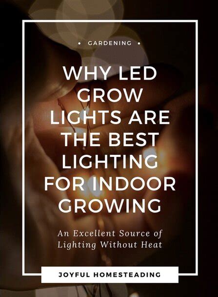 Led Grow Lights Basics