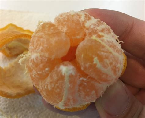 Charlotte Sartre On Twitter Lesbian Butthole Magic By GothCharlotte