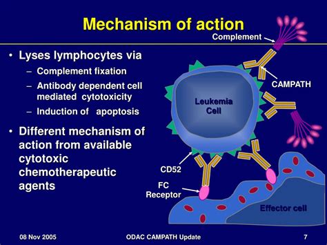 PPT - CAMPATH ® (alemtuzumab): Status of Phase IV Post-marketing Commitments PowerPoint ...