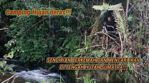 Solo Camping Hujan Deras Sendirian Berkemah Di Tengah Hutan Sumatra