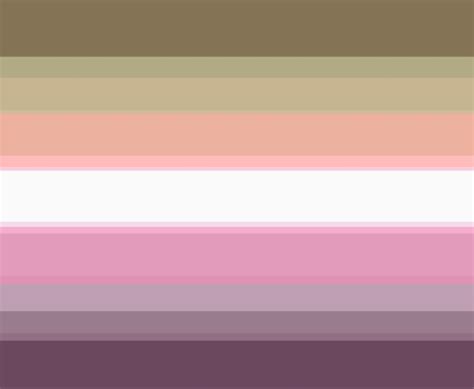 Personalized Pride Flags Aromantic Demigirl And Lesbian Combo Flag