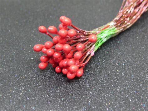 Seconds Oops Red Berry Pips On Wire Size 1 Double Sided 24 Etsy