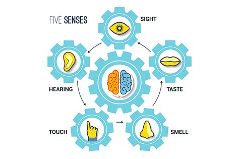 sense  nonsense  hemet san jacinto chronicle