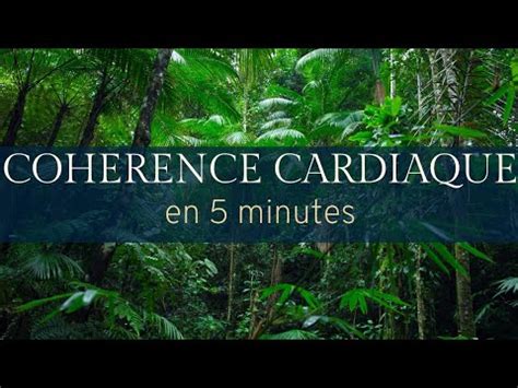 Coherence Cardiaque Minutes Promenade Sonore En For T Amazonienne