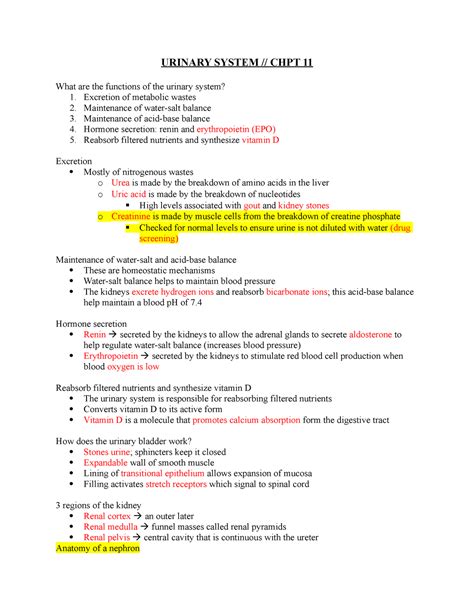 Urinary System Lecture Notes 11 URINARY SYSTEM CHPT 11 What Are