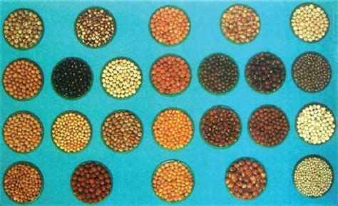 Seed Color Variation Download Scientific Diagram