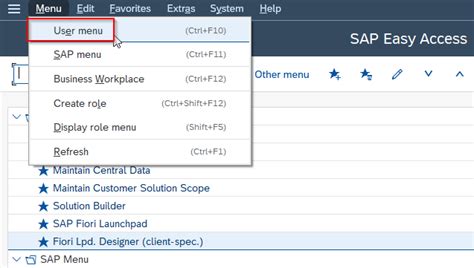 How To Log In And Log Off To The Sap System