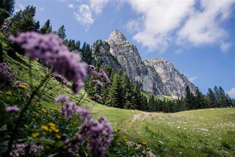 Iseler Wanderung Rundwanderung auf den Iseler und Kühgundgrat