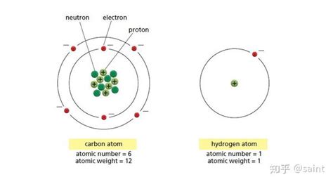 学习笔记 细胞中的原子和电子 知乎