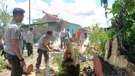 Antisipasi Korban Jiwa Saat Puting Beliung Bpbd Padang Tebang Sejumlah