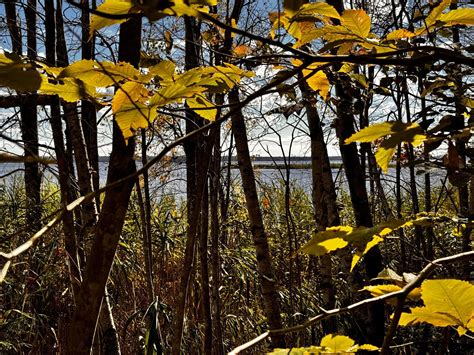 Mariaville Hancock County Me Undeveloped Land Lakefront Property