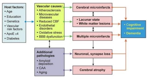 Cerebrovascular Disorders Flashcards Quizlet