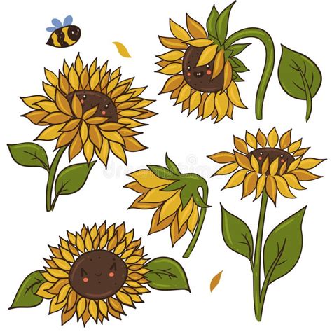 Set Of Cute Kawaii Sunflowers Isolated On White Background Vector