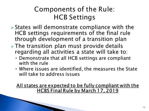 1 Overview Of The Hcbs Settings Final Rule Implementation Requirements