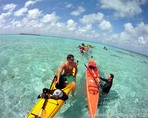 Belize Adventure Island Glover S Reef Southern Belize Scuba Diving