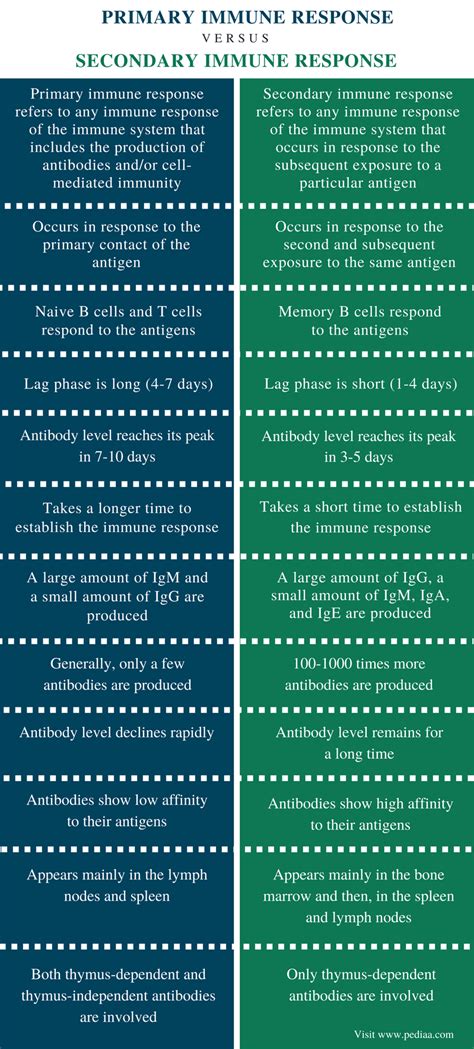 Difference Between Primary and Secondary Immune Response | Definition ...