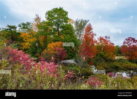 Fall landscape, Scenic Fall Background, Fall in Ontario, Canada ...