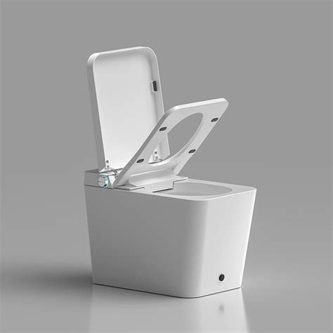 Comfort Height Bidet Toilet Manufacturers Suppliers - Made in China