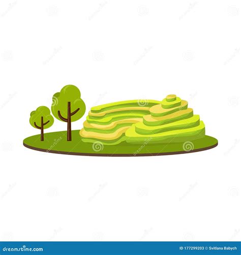 Rice Terrace Fields Vector Sketch Landscape Illustration Asian