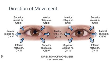 Nurs Eyes Flashcards Quizlet