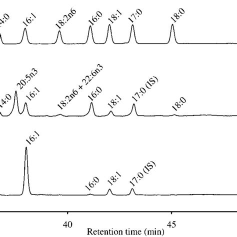 Representative acyl-CoA profiles from yeast and algal samples. HPLC ...