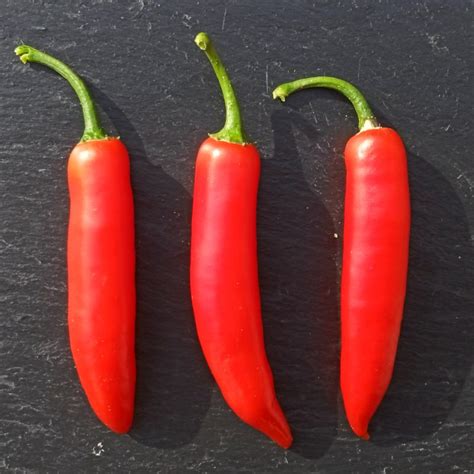 Serrano – Peperhof