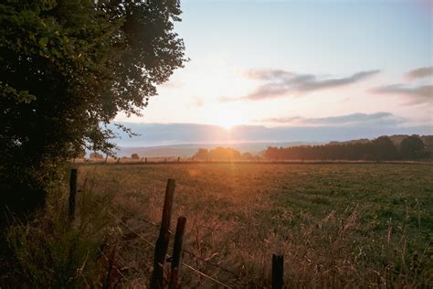 Green grassland photo during sunset photo – Free Brown Image on Unsplash