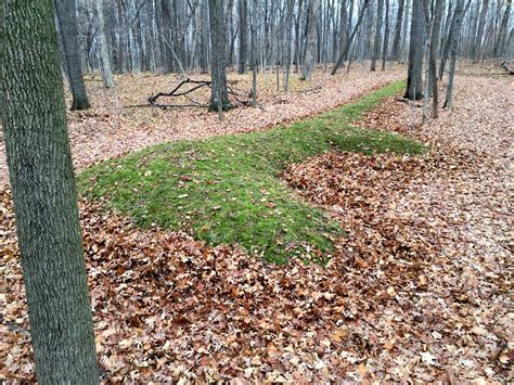 Sacred Landscape Native American Effigy Mounds Earthsanctuaries