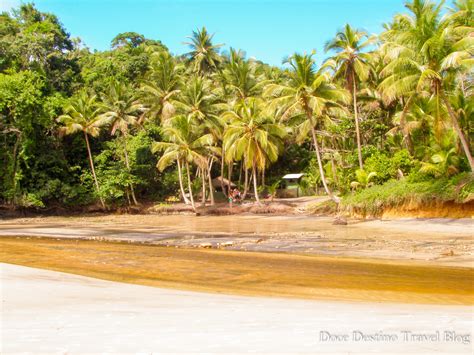 Roteiro Completo De Itacar Na Bahia Dicas Para A Viagem Perfeita