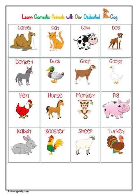 Animal Worksheets, Worksheets For Kids, Kids Learning Activities ...