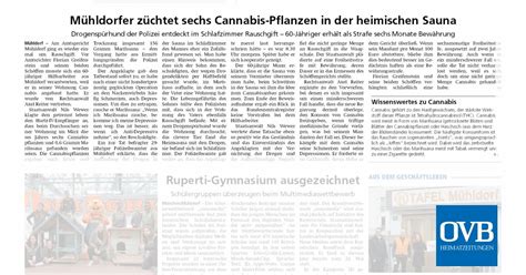 Mühldorfer züchtet sechs Cannabis Pflanzen in der heimischen Sauna