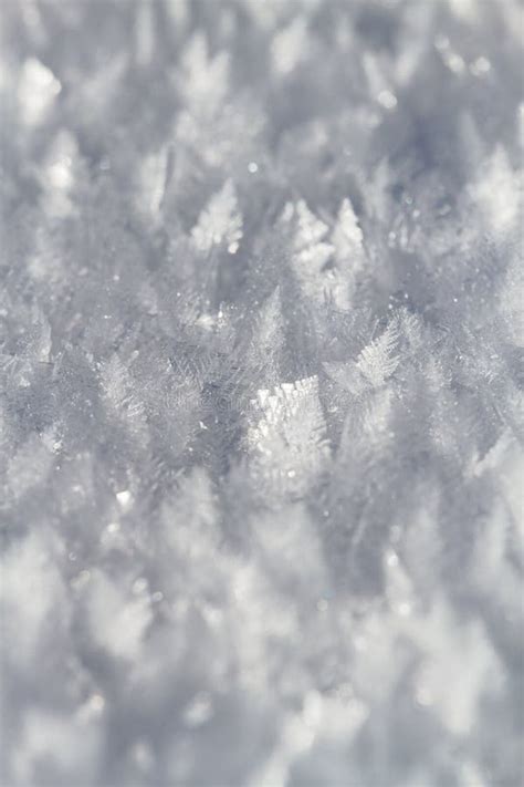 Snow Crystals on Snow Covered Field Stock Image - Image of beautiful, crystals: 85965713