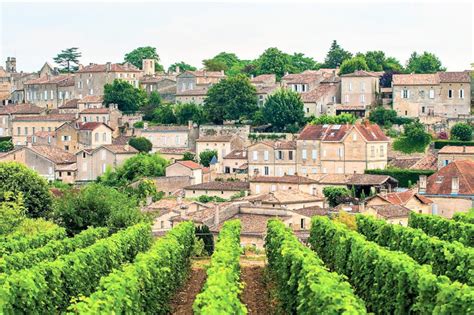 Bordeaux Private Wine Tour From San Sebastian