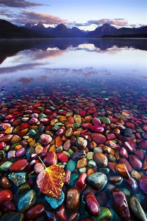 Really Amazing 💜💙 💛 Pebble Shore Lake In Glacier National Park Montana Travel Beautiful