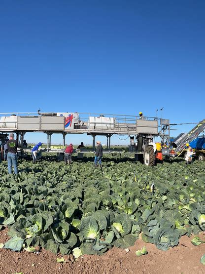 Imperial Valley Agriculture | ICFB Website