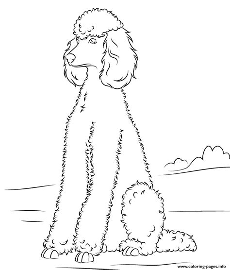 Poodles Dog Coloring Page Printable