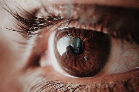 900 Best Vision Photos · 100 Free Download · Pexels Stock Photos